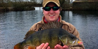 big-perch-on-fly 1.jpg